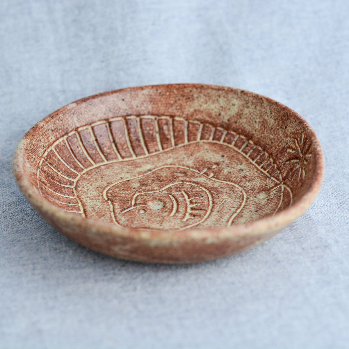 Cosmos Bowl