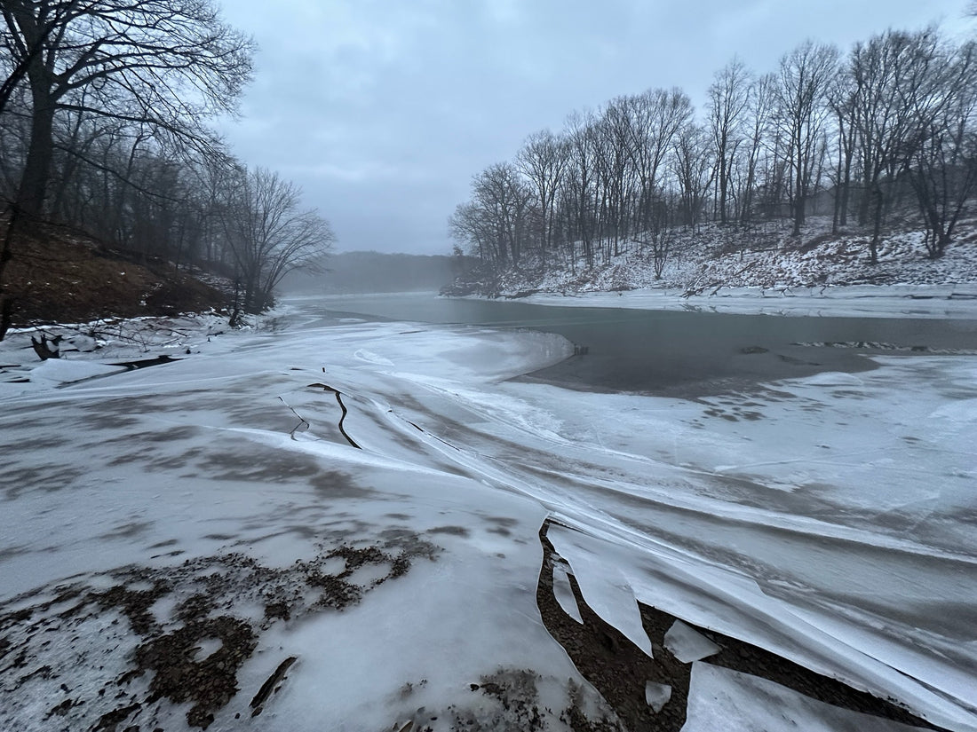 What We Love About January